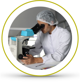 Direct Candidate Sourcing Boston Candidate Sourcing